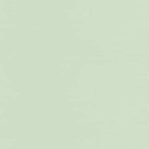 Meet your Posher, Gabby